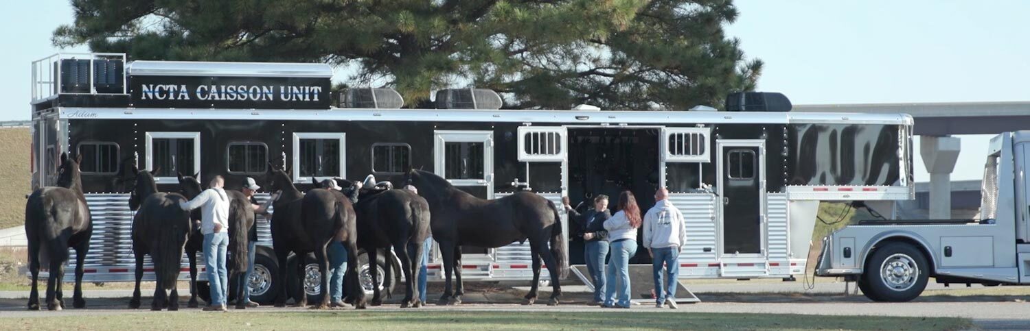 Horses and Trailer