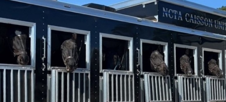 New Horse Trailer
